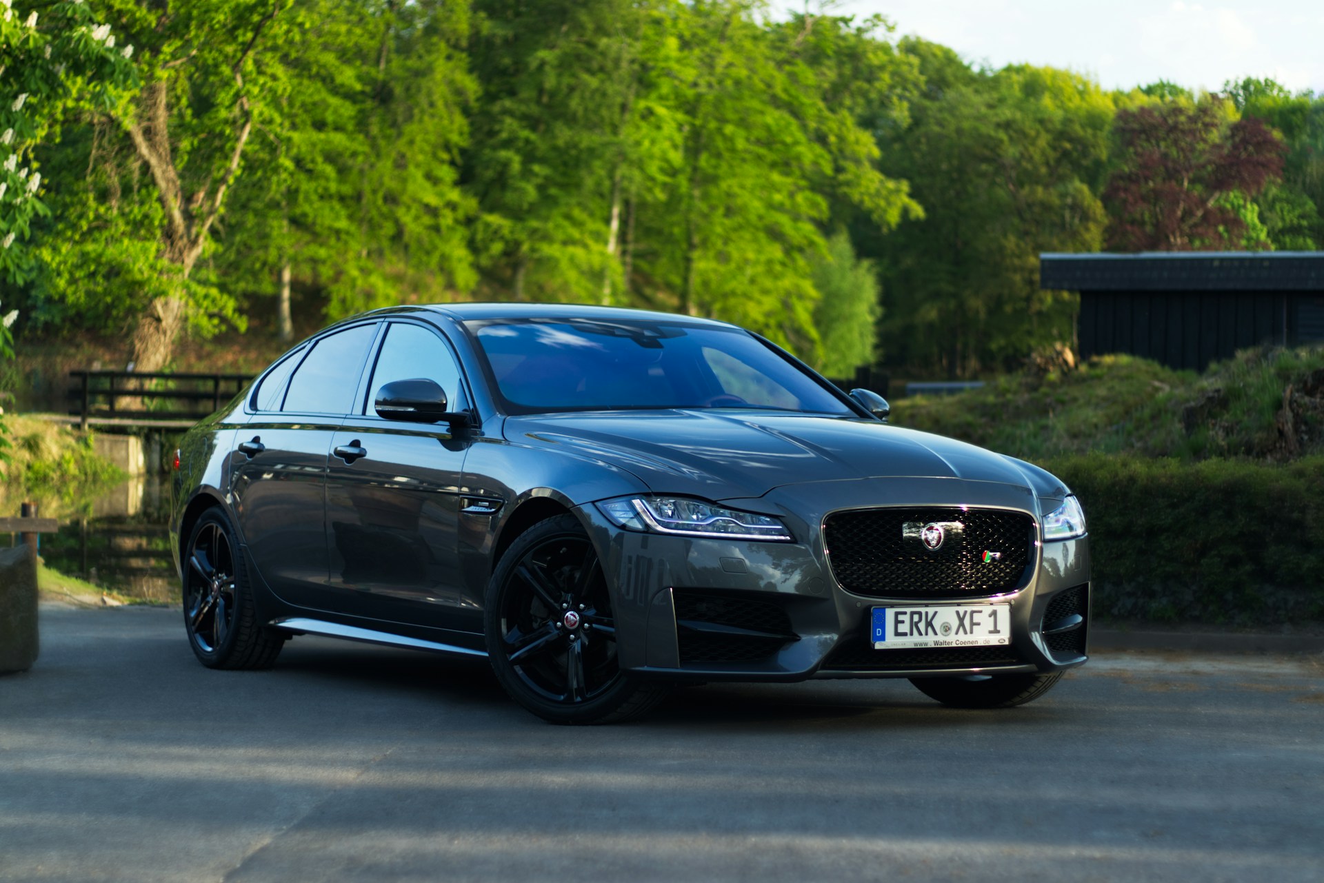 Jaguar