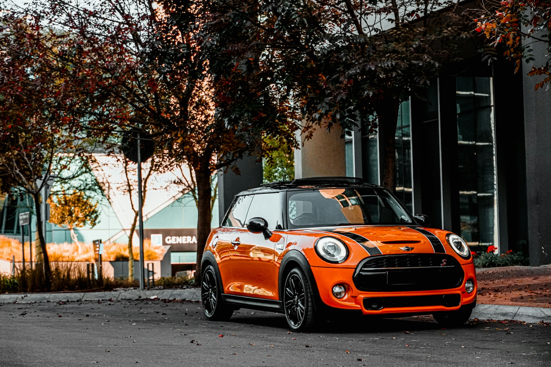 Mini